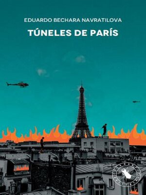 cover image of Túneles de París